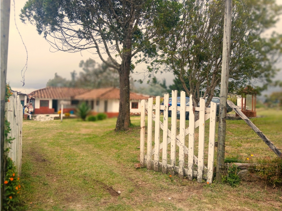 GiZ-555-Casa Campestre-Santa Elena-V.El Placer-Sector Emburrao — foto 4