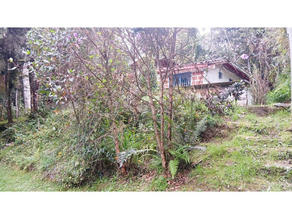 CMV-548-2 Casas campestres-Santa Elena-V.Mazo-Sector Frank — foto 3