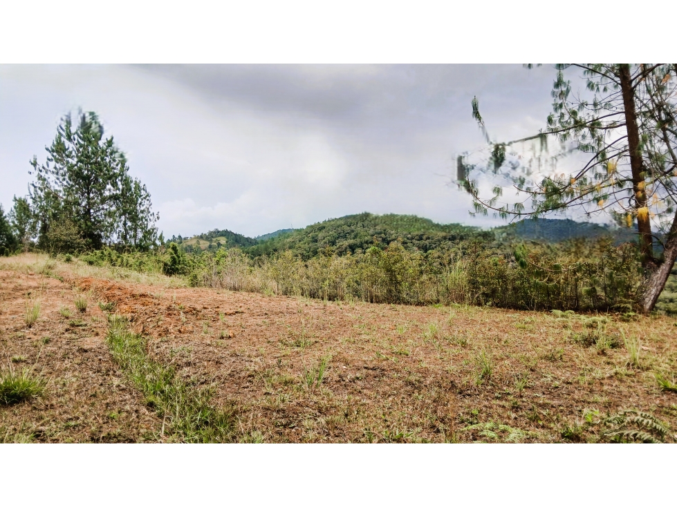 MH-536-Lote -.Parcelación La Cascada - El Retiro — foto 5