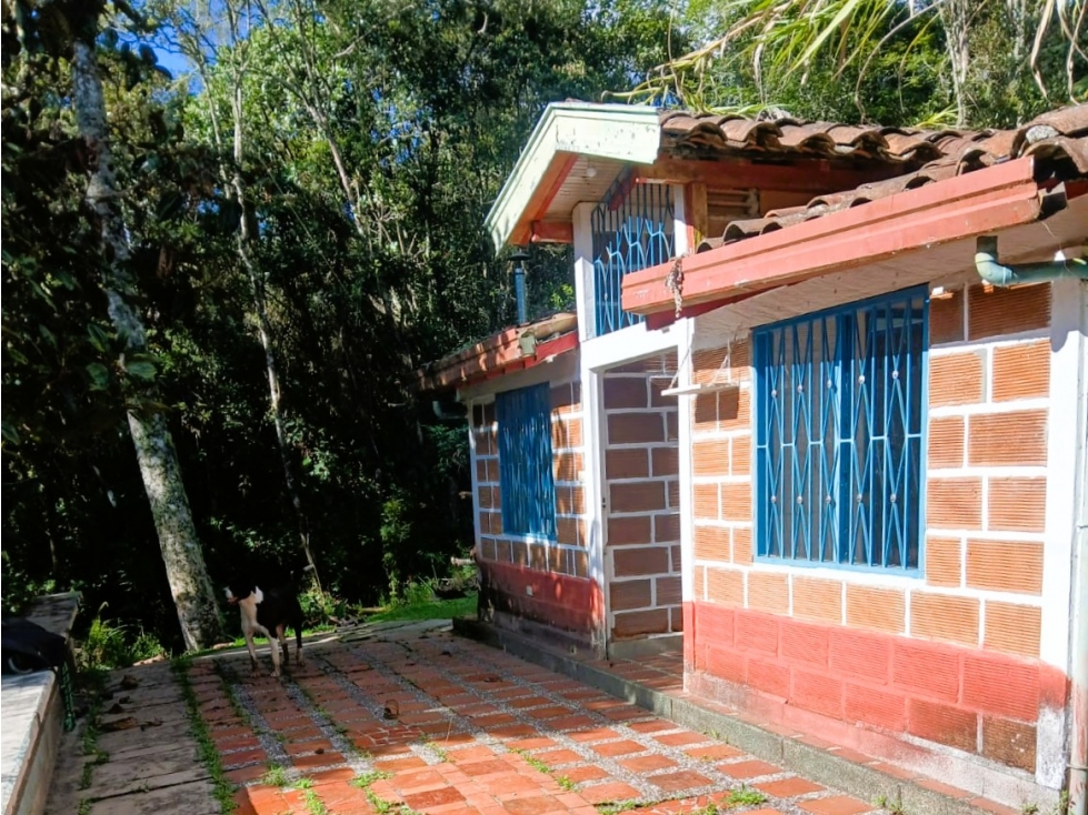 CMV-548-2 Casas campestres-Santa Elena-V.Mazo-Sector Frank — foto 4