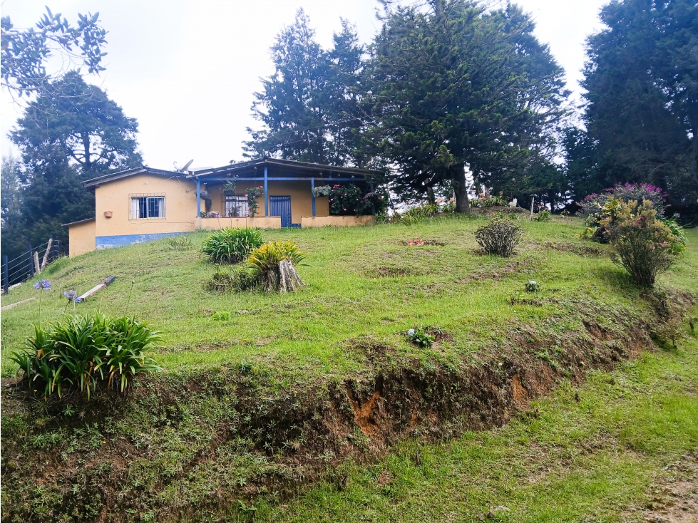 AlV-554- Casa Campestre-Guarne-San Isidro-Sector La Quesera