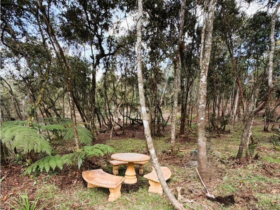 AlG-561-Casa Campestre-Santa Elena-V.Piedras Blancas — foto 4