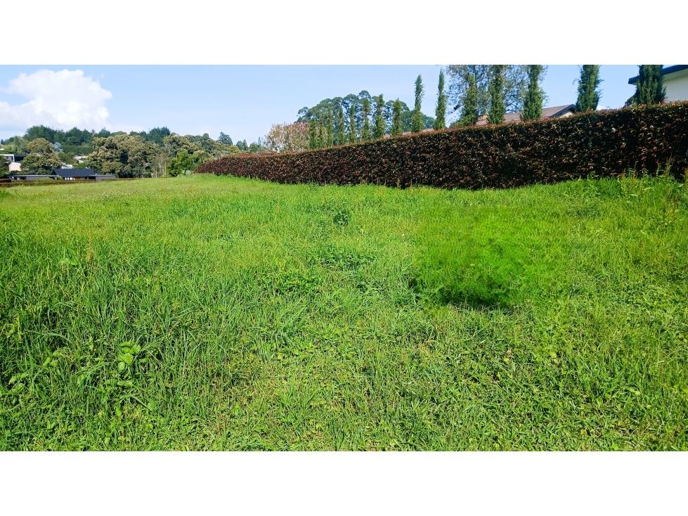 JS-525-Lote Rural-Cármen de Viboral-Parcelación Valle del Este — foto 4