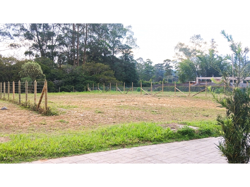 CaV-546-Lote Campestre-Parcelación Terra Natura-Vereda Chipre-Rionegro — foto 3