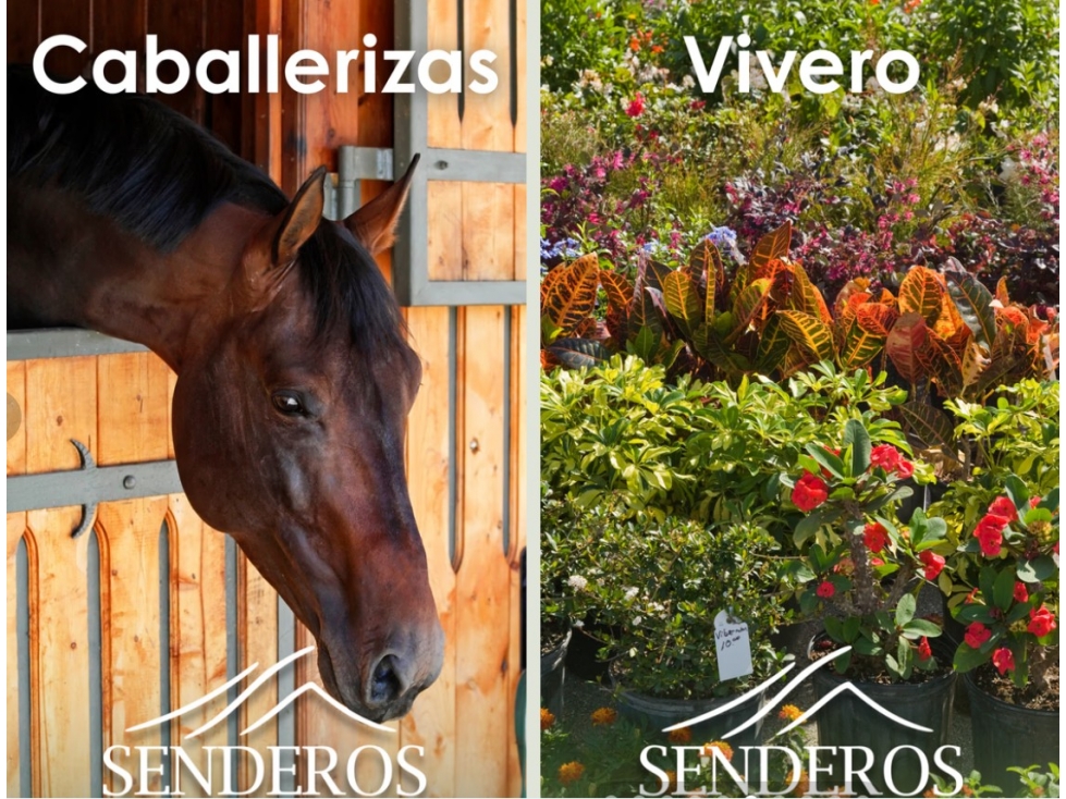 CSE-556-Lotes en Parcelación Productiva "Senderos" - La Ceja — foto 5
