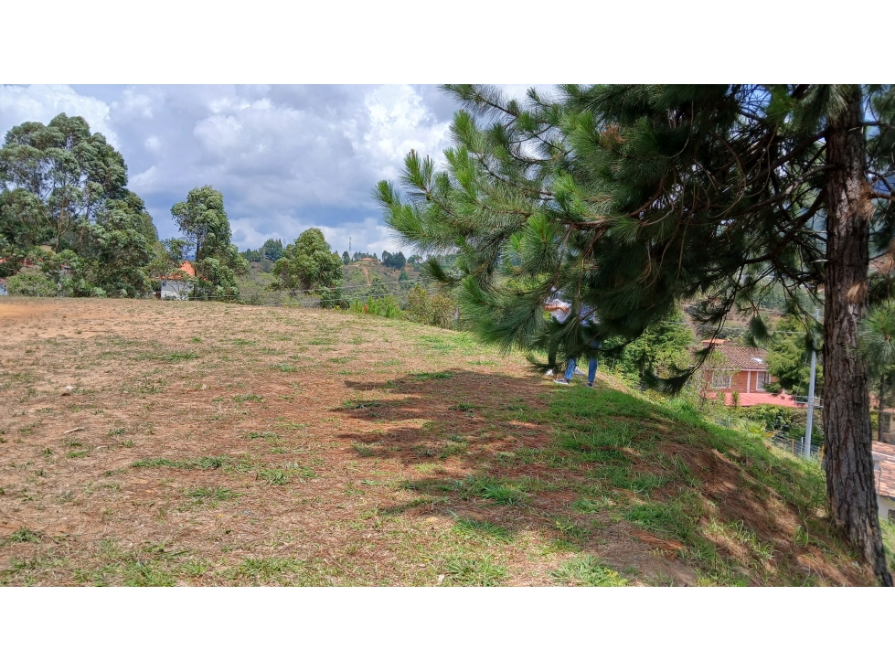 ALG-508-Lote Campestre-Guarne-Vereda Bellavista — foto 5