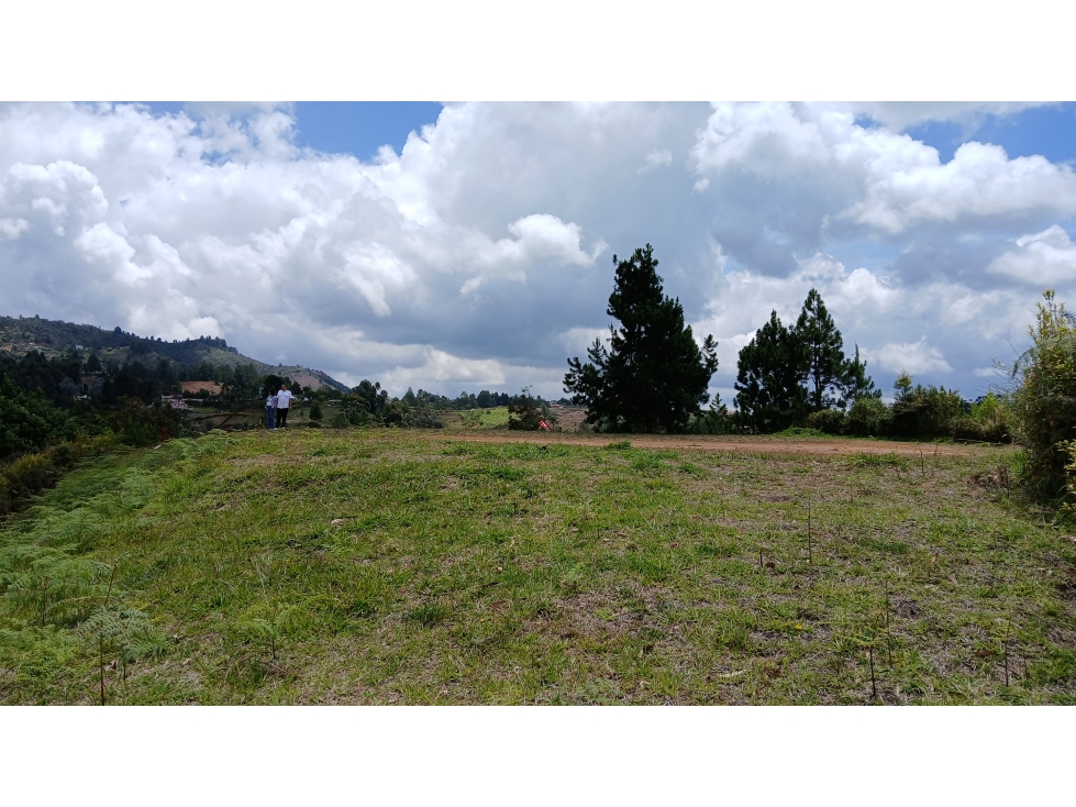 ALG-508-Lote Campestre-Guarne-Vereda Bellavista — foto 6