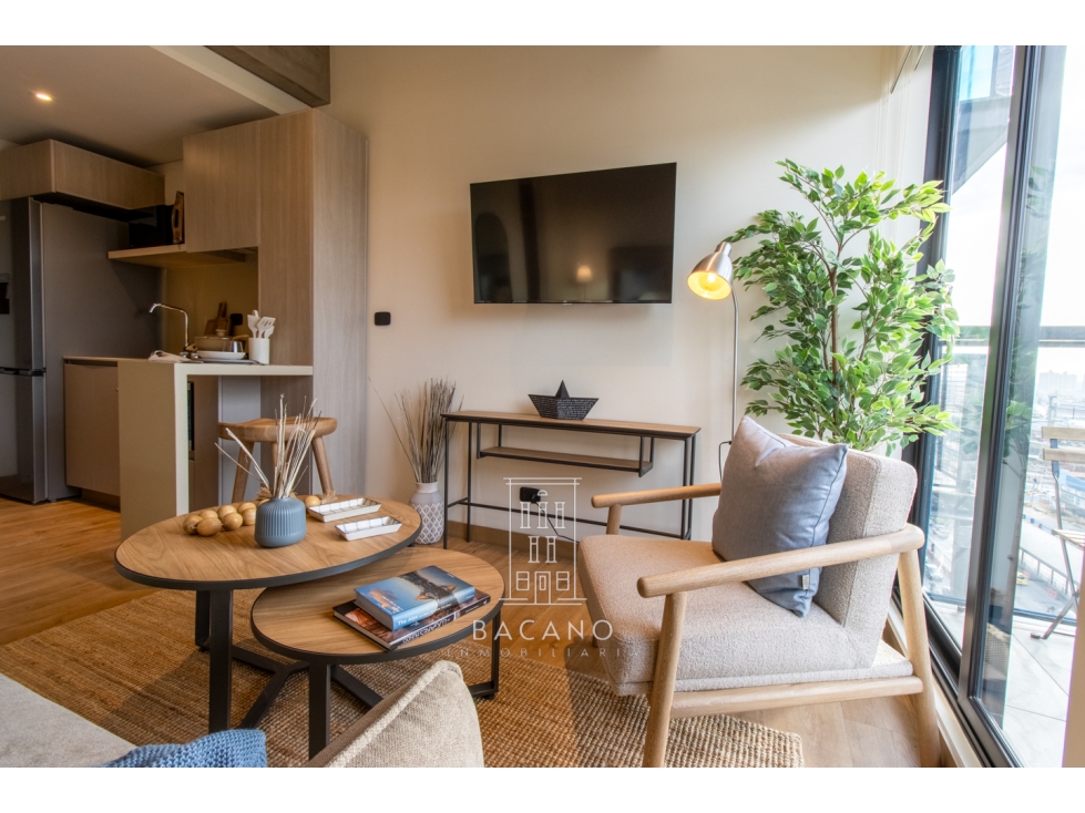 Apartaestudio en arriendo en Salitre — foto 5