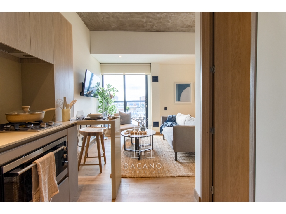 Apartaestudio en arriendo en Salitre — foto 2