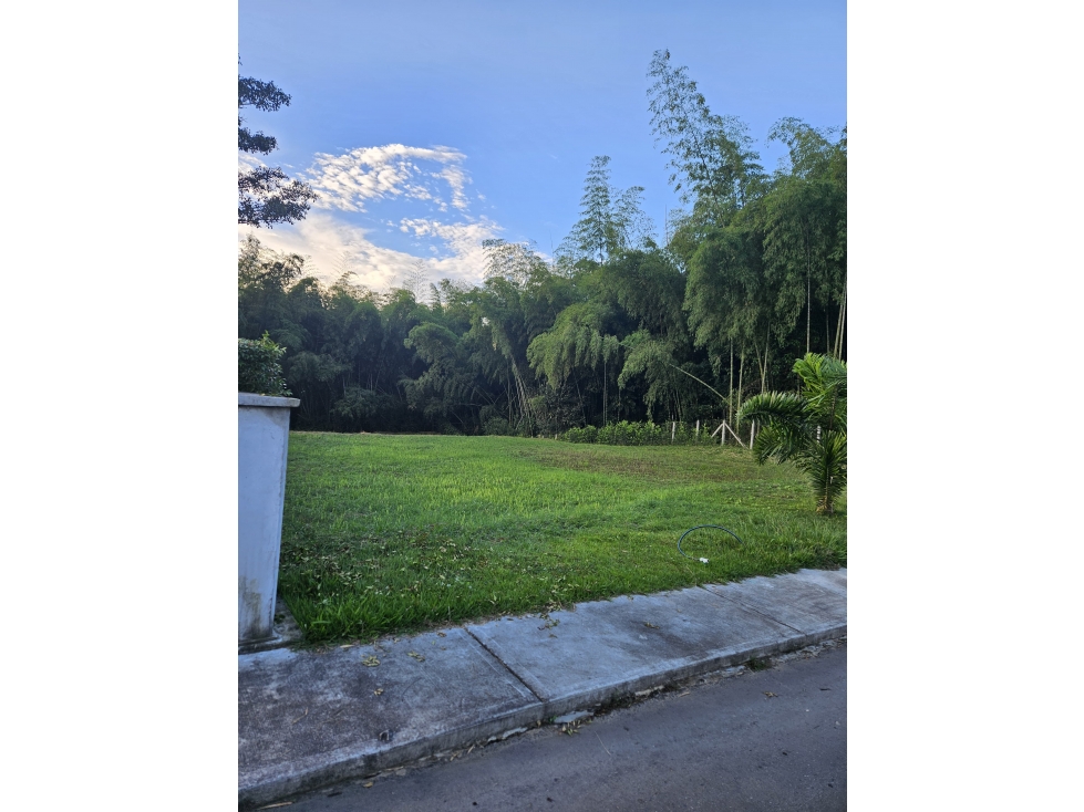 LOTES CAMPESTRE EN CERRITOS - EL TIGRE