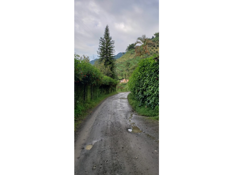 FINCA CON POTENCIAL TURÍSTICO Y PRODUCTIVO