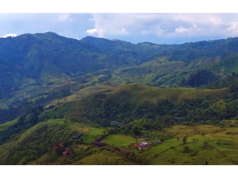 VENTA FINCA CAFETERA EN SAN JOSÉ PEREIRA / VÍA LA FLORIDA