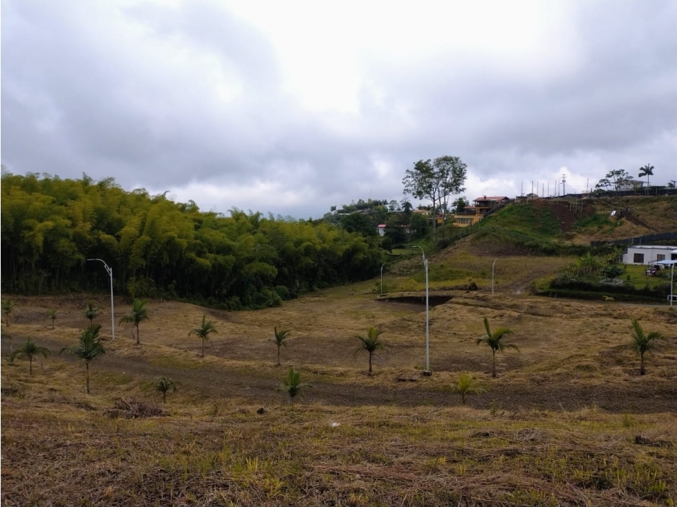 ¡HERMOSOS LOTES EN CONDINA ALTA, PEREIRA!
