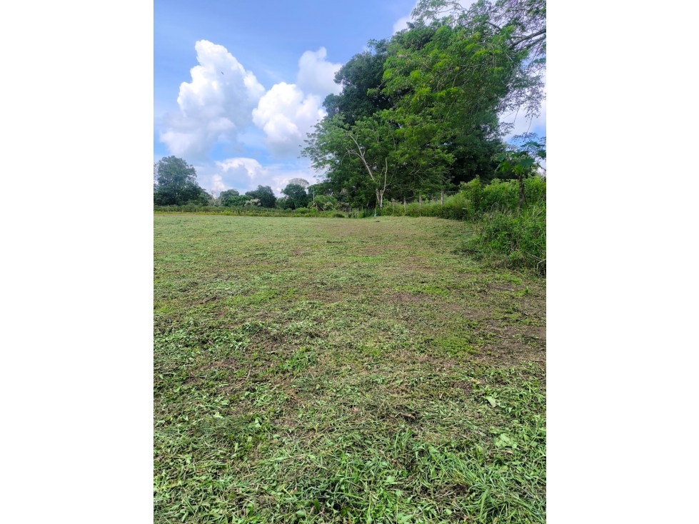 Lote plano en Cerritos Ideal para invertir o desarrollar