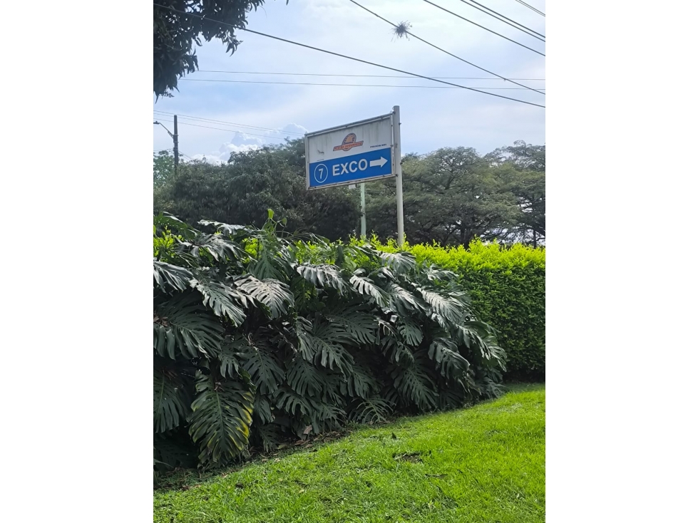Lote Comercial e Industrial en Cerritos Ubicación Estratégica - 2