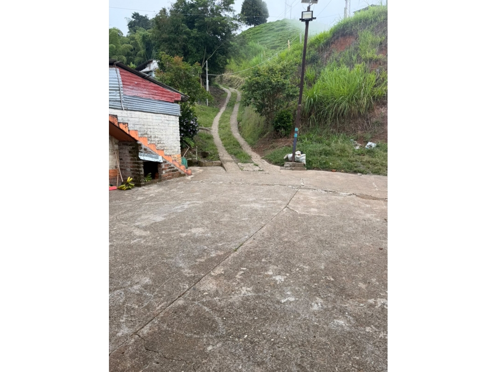 Finca productiva mixta en venta Vía Pereira - Marsella — foto 6