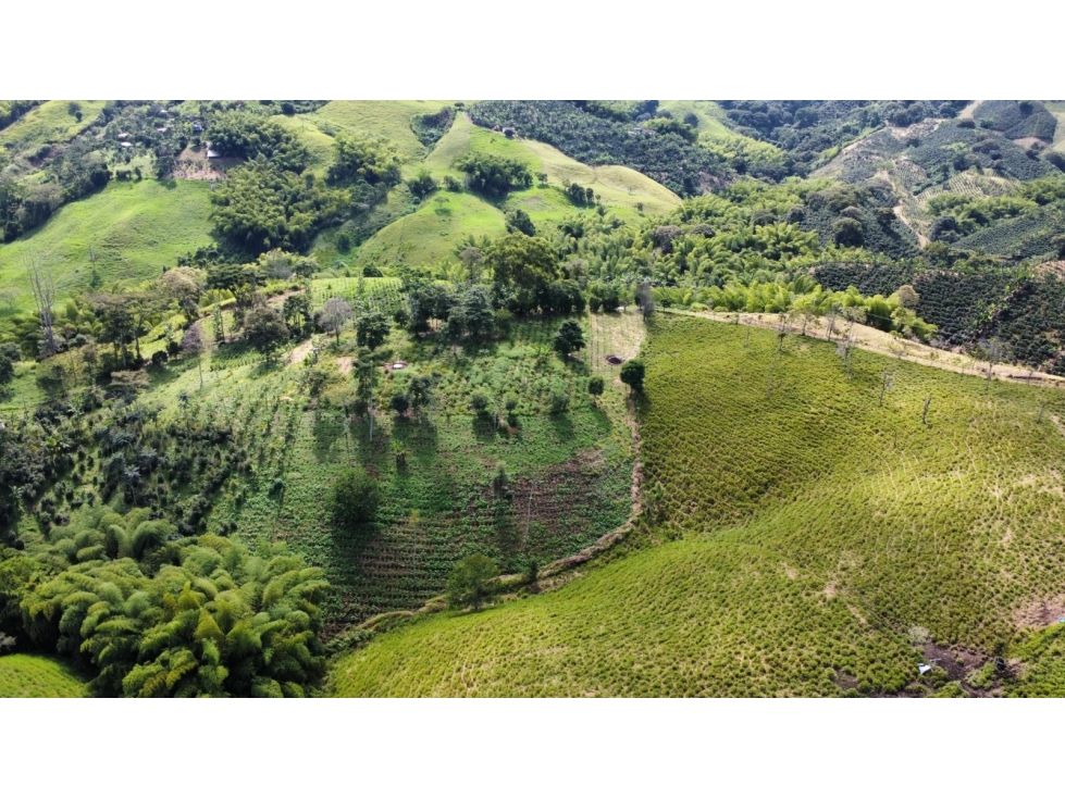 LOTES CAMPESTRES EN VENTA   ALTAGRACIA, PEREIRA — foto 2