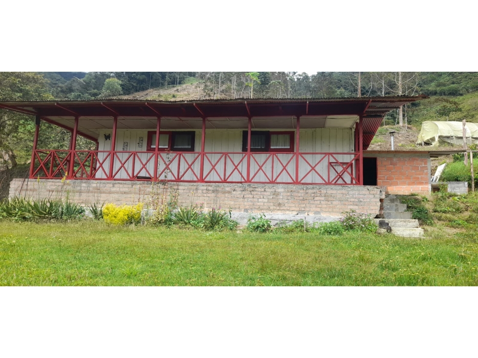 Finca en Pueblo Rico con infraestructura cafetera y 43,75 cuadras - 2