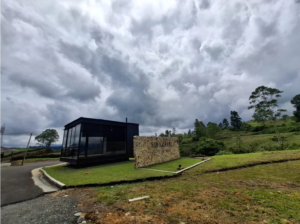 LOTES CAMPESTRES SOBRE LA VÍA ARMENIA, ALTA VALORIZACIÓN — foto 5
