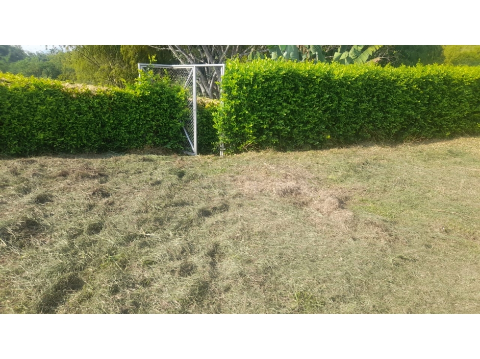 Lote en venta Combia sector La Siria, Pereira — foto 5