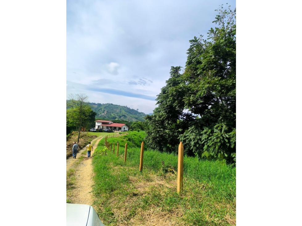 FINCA EN VENTA COMBIA, VÍA A MARSELLA, PEREIRA — foto 2