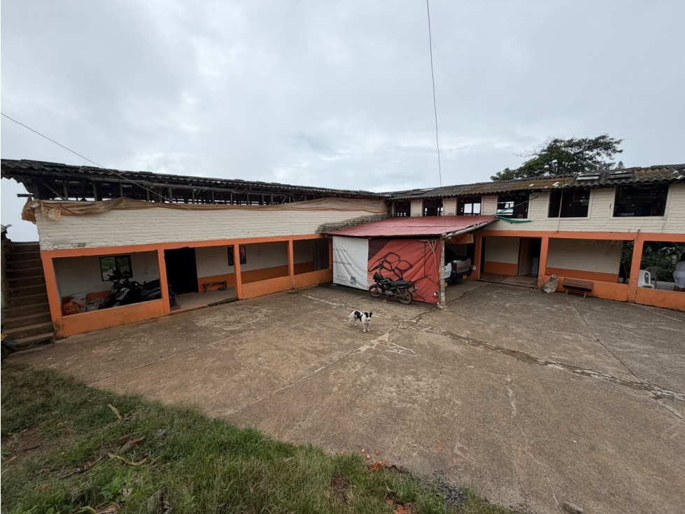 Finca productiva mixta en venta Vía Pereira - Marsella — foto 3