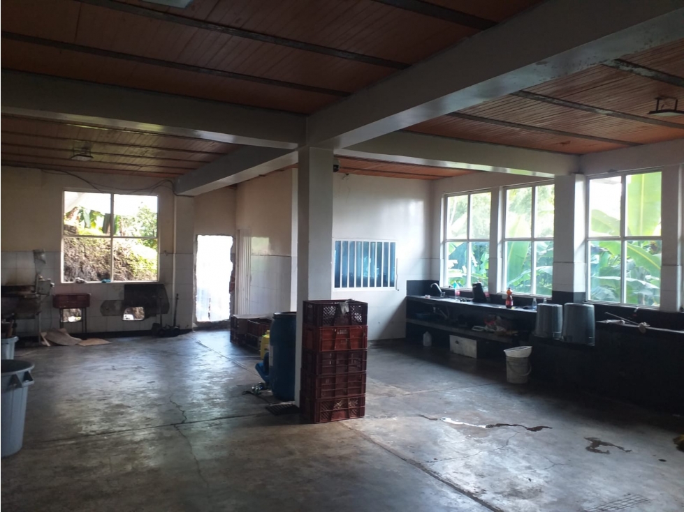 Finca productiva en venta Santa Rosa de Cabal - El Manzanillo — foto 4