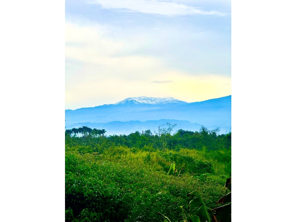 CASA CAMPESTRE EN CERRITOS CON VISTA AL NEVADO DEL RUIZ — foto 2