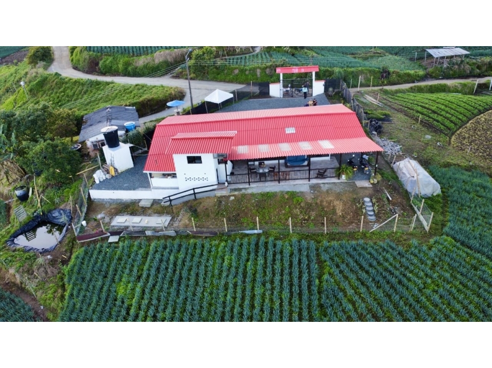 Finca productiva en venta La Bella, Pereira - 2