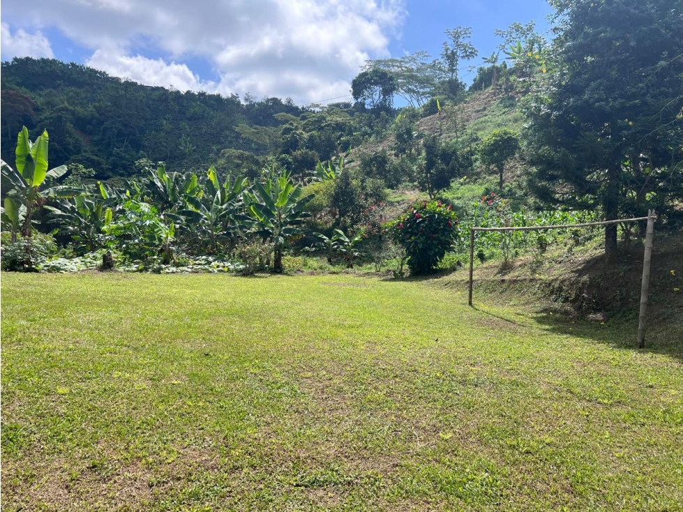 Hermosa Finca Cafetera Técnificada, en Belalcazar — foto 4
