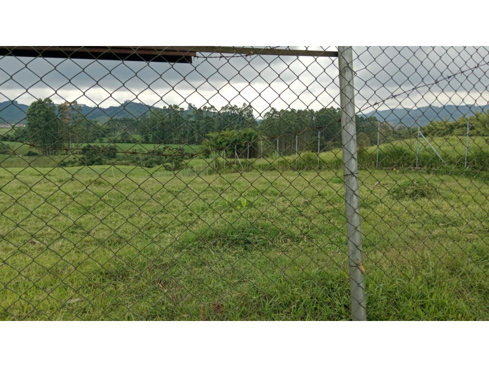 LOTE EN VEREDA LA BELLA PEREIRA — foto 2