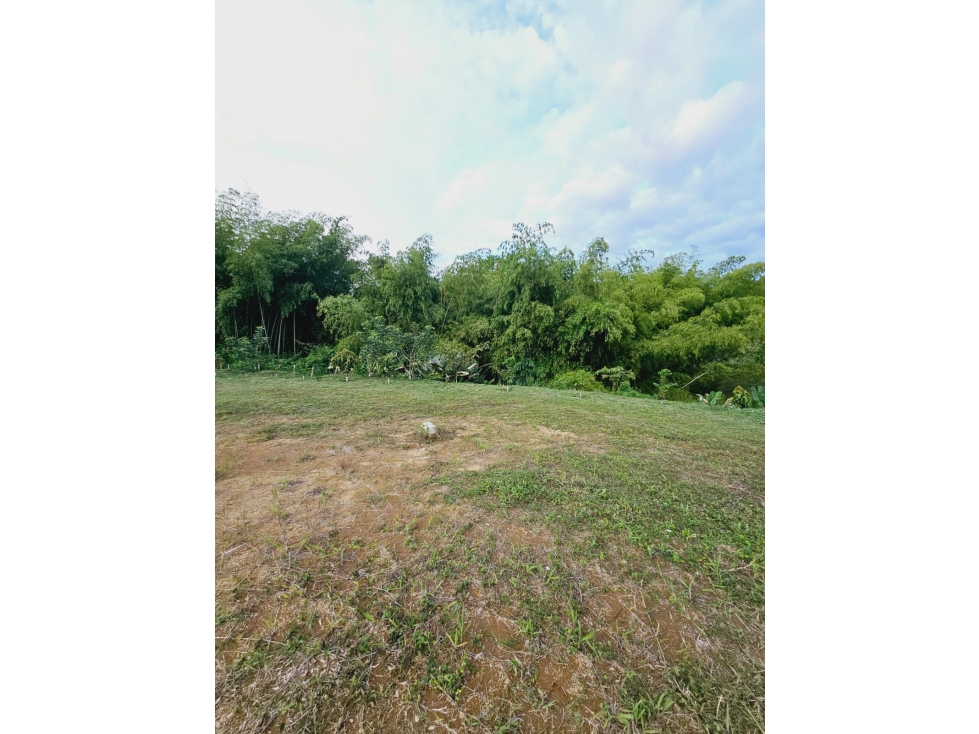 LOTES CAMPESTRES EN CERRITOS MALABAR — foto 2