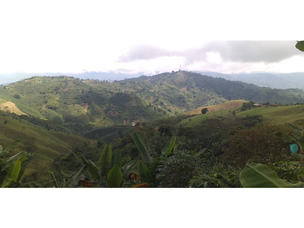 Finca Cafetera Tecnificada en Vía Pereira Marsella