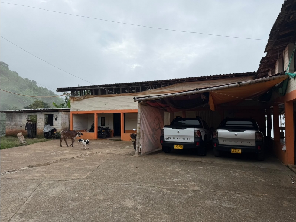 Finca productiva mixta en venta Vía Pereira - Marsella — foto 4