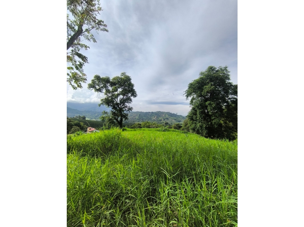 FINCA EN VENTA COMBIA, VÍA A MARSELLA, PEREIRA — foto 3