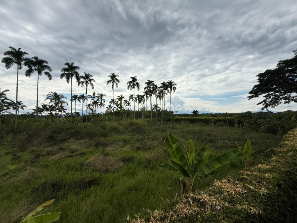 LOTE DE 6.400 M² EN ENTRADA 11 CERRITOS, PEREIRA - 2