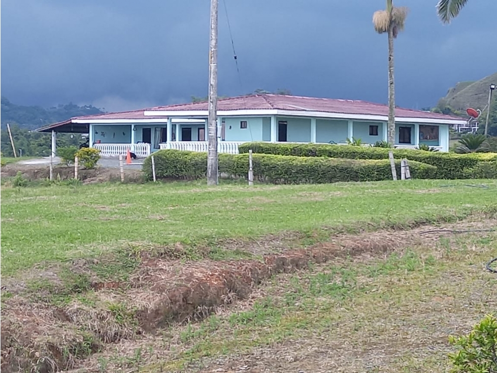 Finca en venta en Guacarí con 65.000 m² y casa principal de 340 m — foto 2