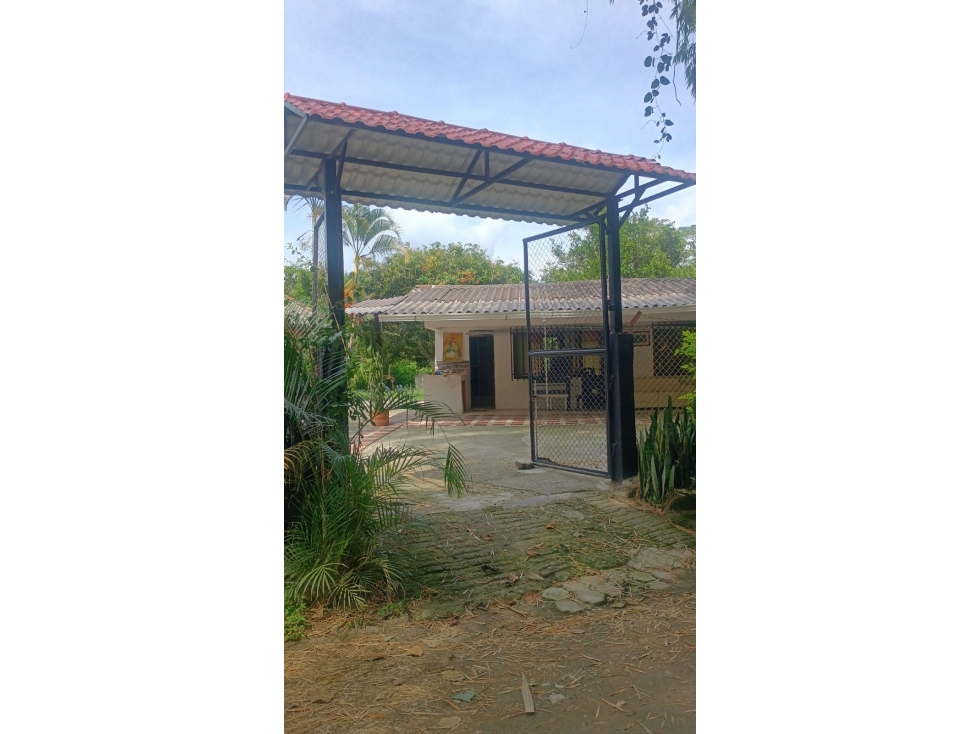 Finca en el Lembo - agua de nacimiento y acceso por carretera — foto 2