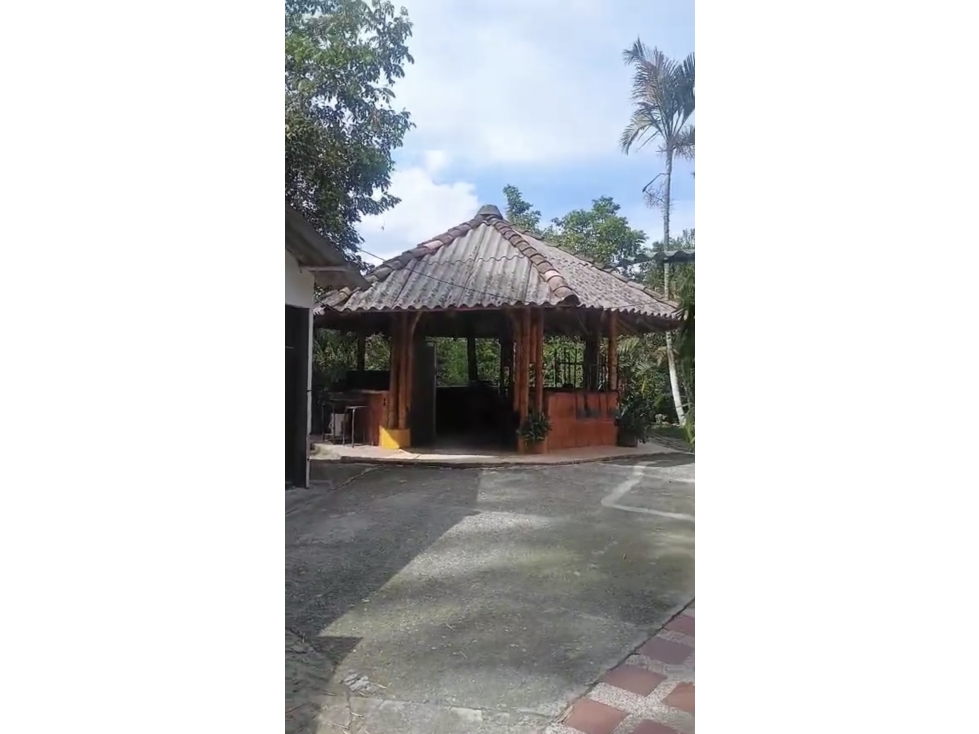 Finca en el Lembo - agua de nacimiento y acceso por carretera — foto 3