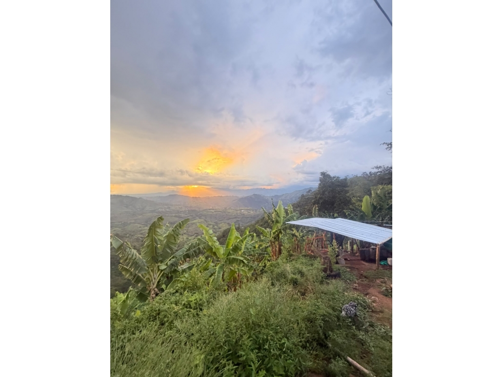 Finca productiva mixta en venta Vía Pereira - Marsella — foto 5