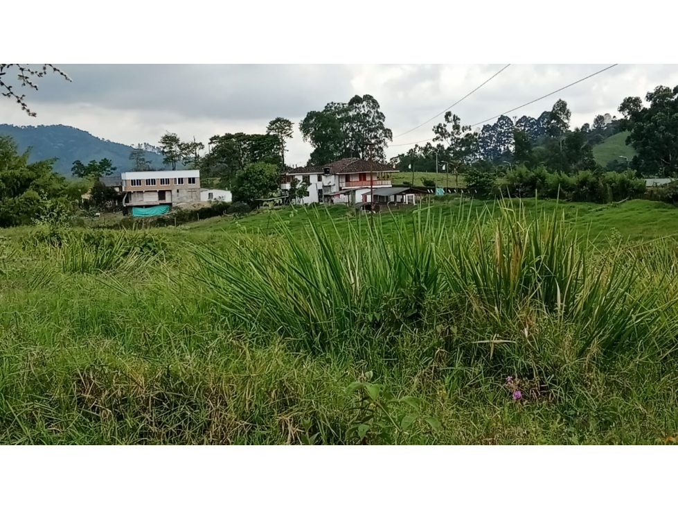 LOTE EN VEREDA LA BELLA PEREIRA — foto 3