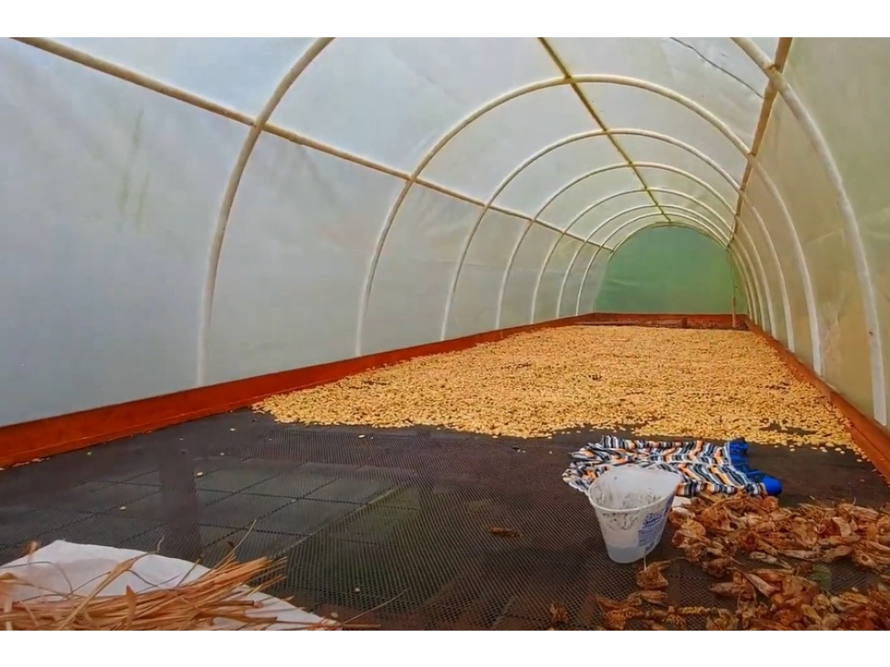 VENTA FINCA CAFETERA EN SAN JOSÉ PEREIRA / VÍA LA FLORIDA — foto 3
