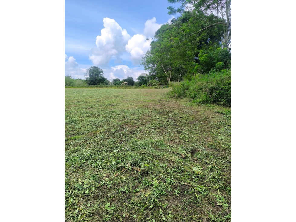 Lote plano en Cerritos Ideal para invertir o desarrollar — foto 2