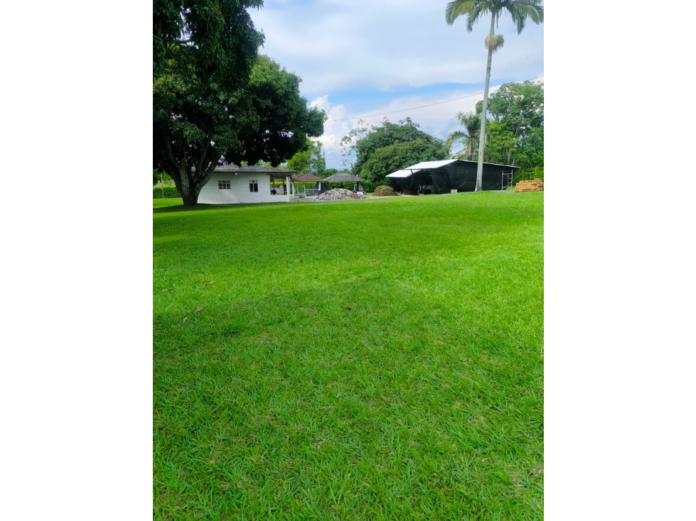 Lote Comercial e Industrial en Cerritos Ubicación Estratégica - 6