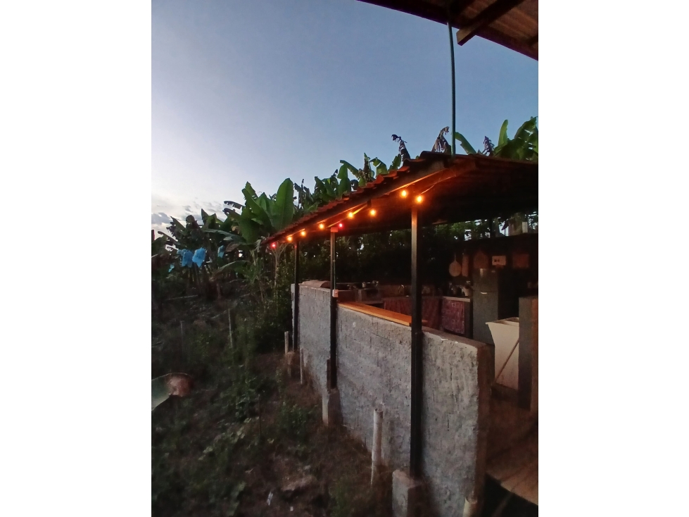 CABAÑA CON LOTE CAMPESTRE EN VENTA ALCALÁ, VALLE DEL CAUCA - 3