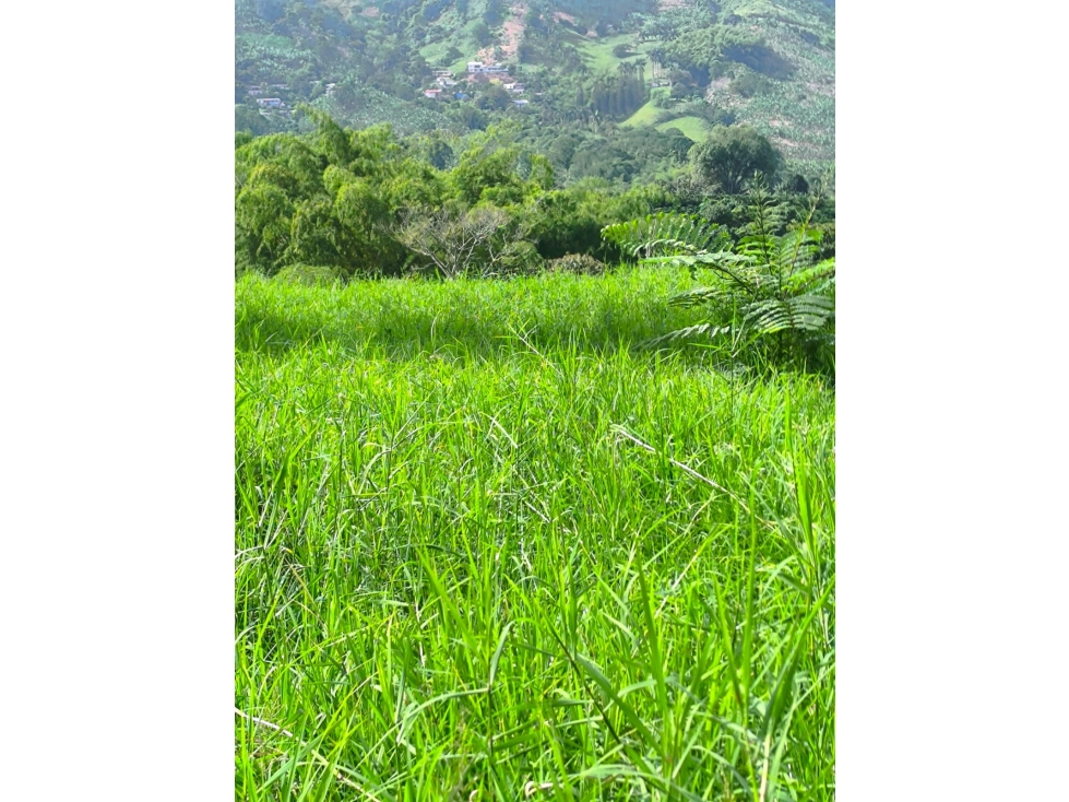FINCA EN VENTA COMBIA, VÍA A MARSELLA, PEREIRA — foto 5
