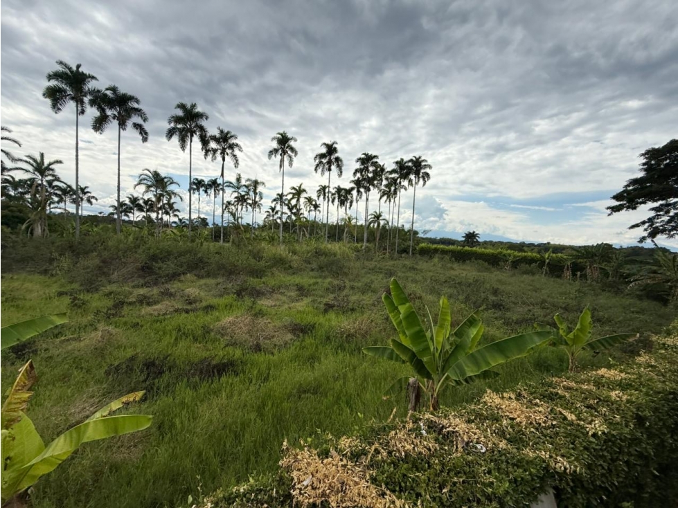 LOTE DE 6.400 M² EN ENTRADA 11 CERRITOS, PEREIRA - 3