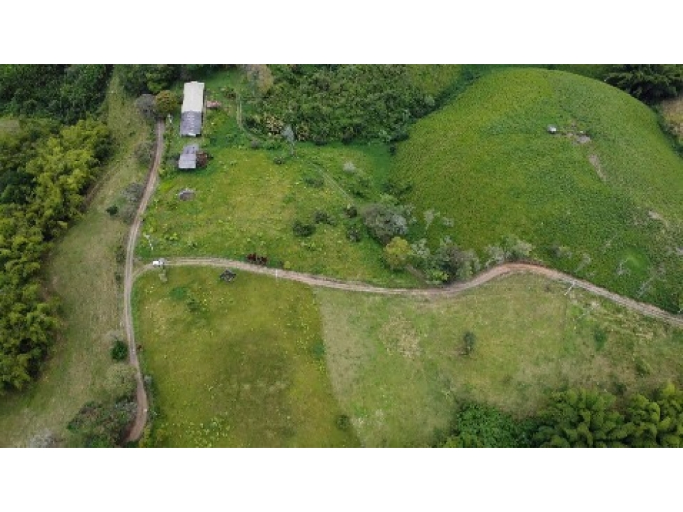 LOTES CAMPESTRES EN VENTA   ALTAGRACIA, PEREIRA — foto 3