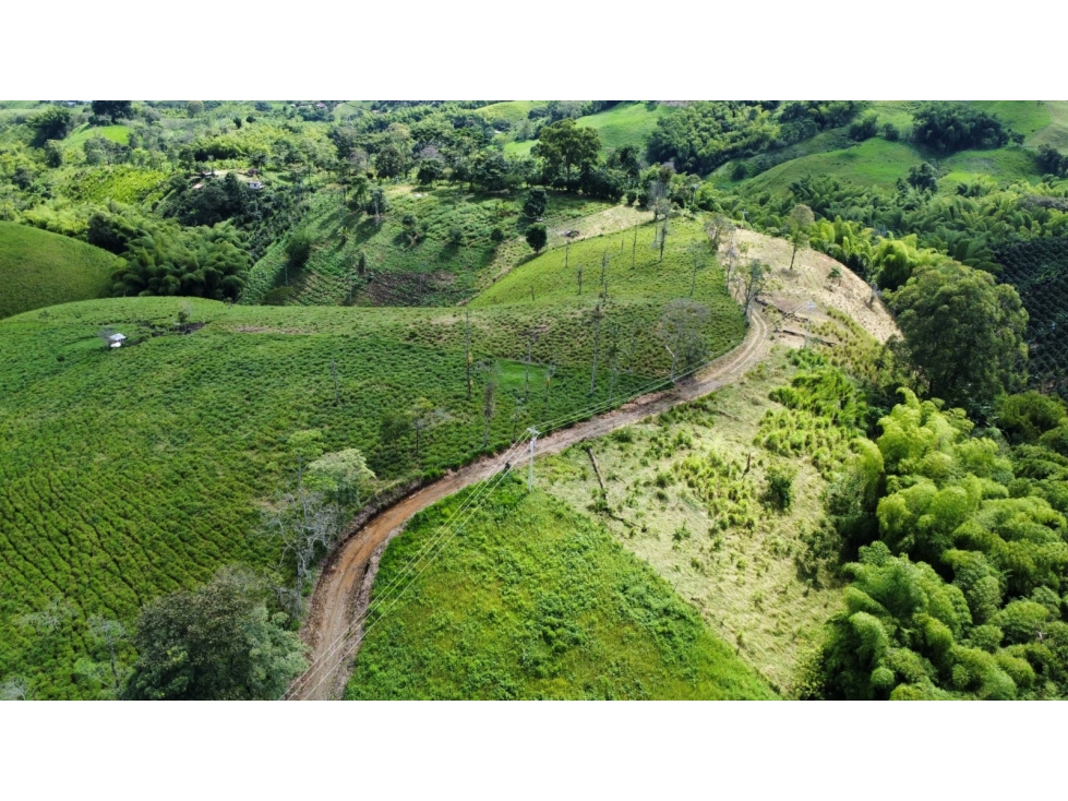 LOTES CAMPESTRES EN VENTA   ALTAGRACIA, PEREIRA — foto 4