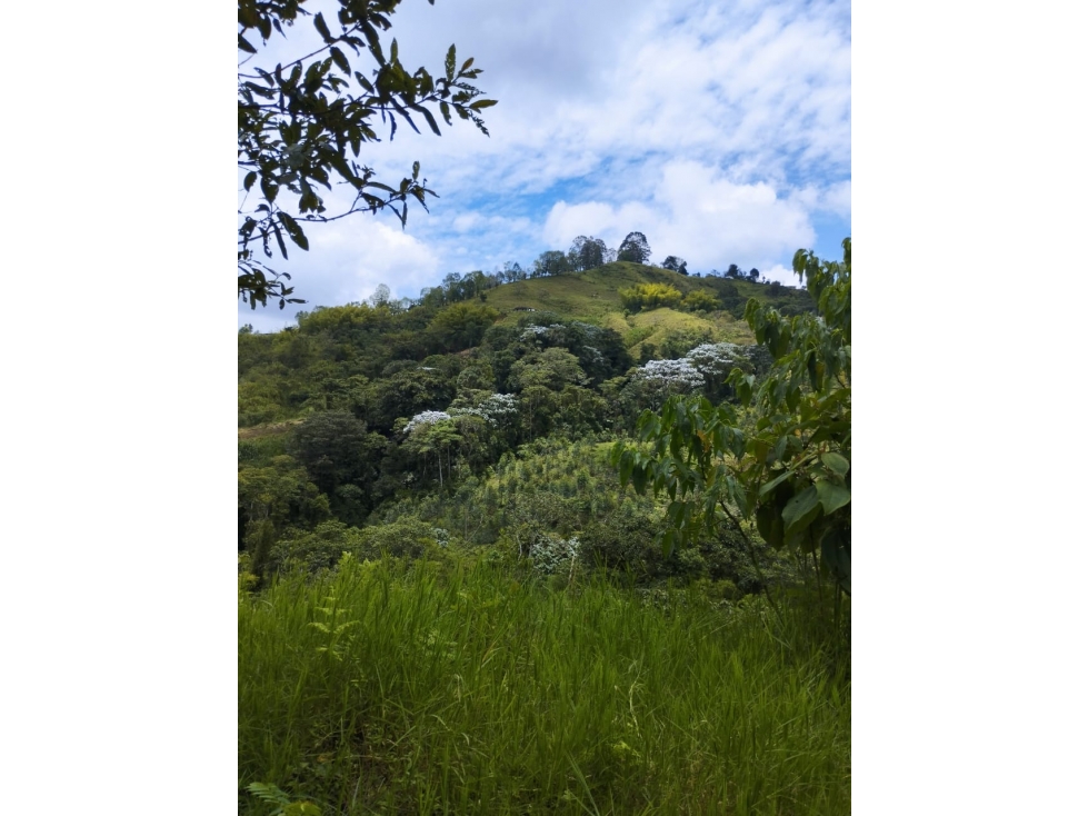 Espectacular finca en la Florida, Risaralda. — foto 5